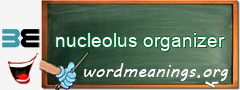 WordMeaning blackboard for nucleolus organizer